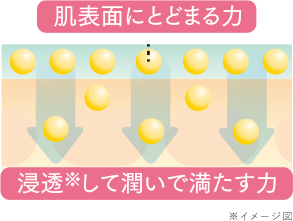 肌表面にとどまる力 浸透※して潤いで満たす力