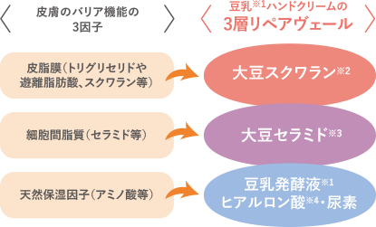 皮膚のバリア機能の3因子 皮脂膜(トリグリセリドや遊離脂肪酸、スクワラン等)_細胞間脂質(セラミド等)_天然保湿因子(アミノ酸等) 豆乳※1ハンドクリームの3層リペアヴェール 大豆スクワラン※2_大豆セラミド※3_豆乳発酵液※1ヒアルロン酸※4・尿素