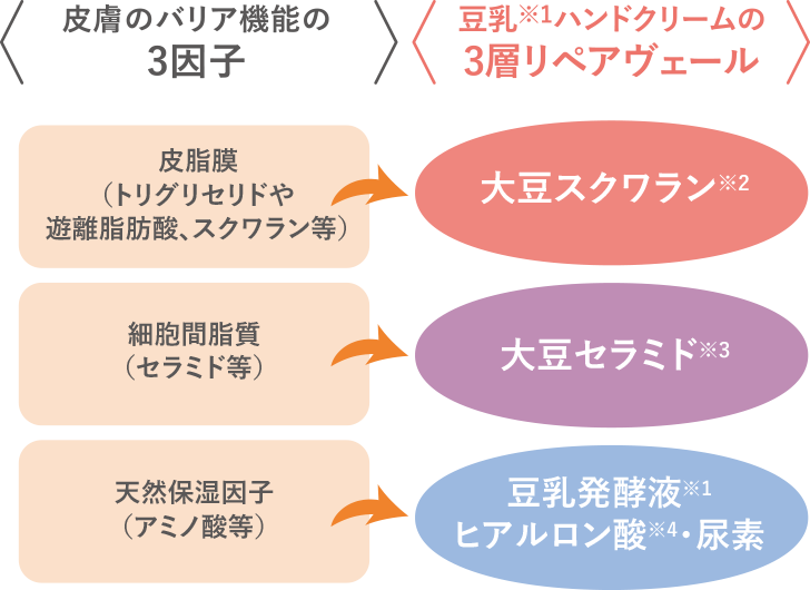 皮膚のバリア機能の3因子 皮脂膜(トリグリセリドや遊離脂肪酸、スクワラン等)_細胞間脂質(セラミド等)_天然保湿因子(アミノ酸等) 豆乳※1ハンドクリームの3層リペアヴェール 大豆スクワラン※2_大豆セラミド※3_豆乳発酵液※1ヒアルロン酸※4・尿素