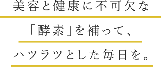 美容と健康に不可欠な「酵素」を補って、ハツラツとした毎日を。