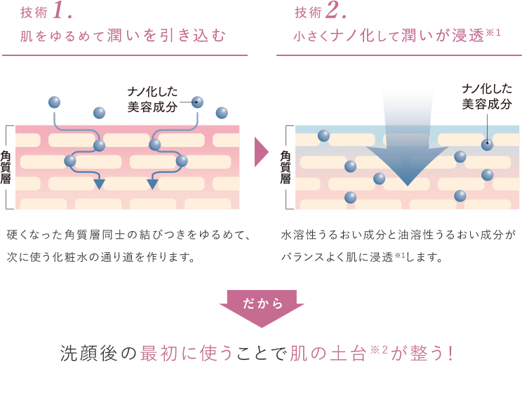 ライチ由来のダメージ追跡ポリフェノール