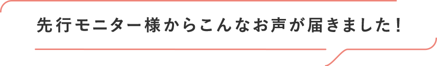 先行モニター様からこんなお声が届きました！