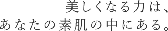 美しくなる力は、あなたの素肌の中にある。